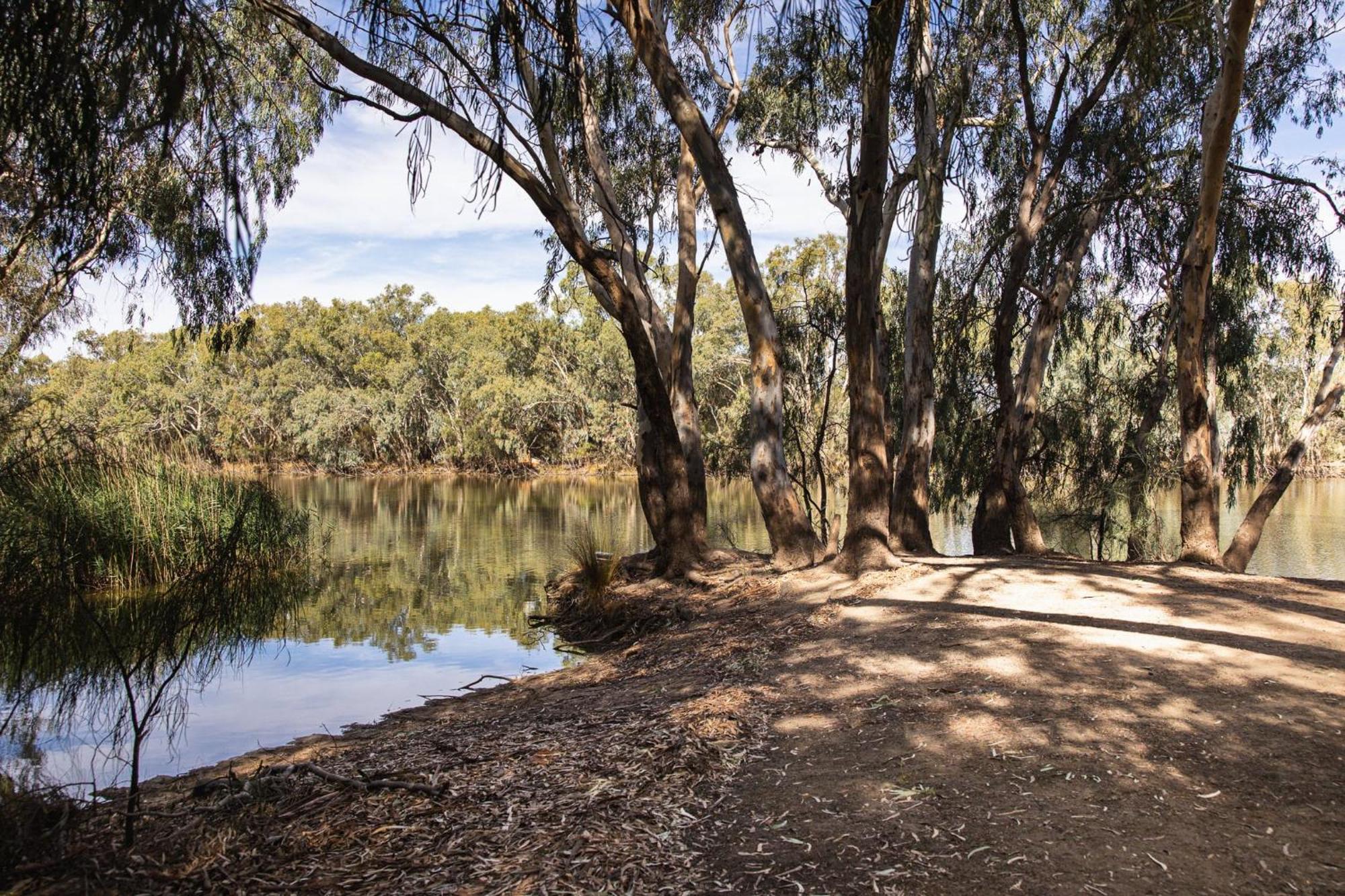 Nyngan Riverside Tourist Park Hotel Exterior photo